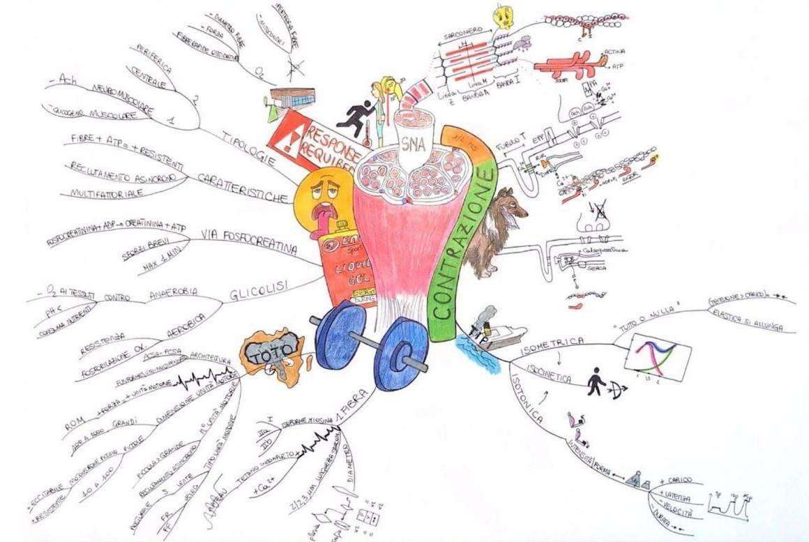 GLICOLISI-mappa-mentale